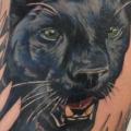 Arm Realistic Panther tattoo by Tantrix Body Art