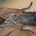 Schulter Realistische Fliege tattoo von Tantrix Body Art