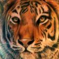 Shoulder Realistic Tiger tattoo by Resul Odabaş