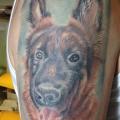 Shoulder Realistic Dog tattoo by Fatih Odabaş