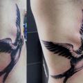 Realistic Side Bird tattoo by Crossover