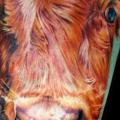 tatuaggio Braccio Realistici Mucca di Cecil Porter