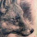 Schulter Realistische Fuchs tattoo von Putka Tattoos