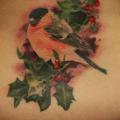 Realistische Rücken Vogel Blatt tattoo von Eddy Tattoo
