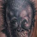 Realistische Affe tattoo von Eddy Tattoo