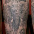 tatuaje Hombro Realista Elefante por Eddy Tattoo