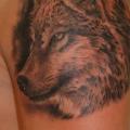 Shoulder Realistic Wolf tattoo by Eddy Tattoo