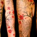Shoulder Arm Flower Dotwork tattoo by Transcend Tattoo