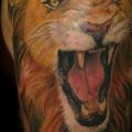 Shoulder Realistic Lion tattoo by Transcend Tattoo