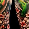 Arm Realistic Flower Hummingbird tattoo by No Remors Tattoo