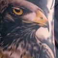 tatuaje Brazo Realista Águila por No Remors Tattoo