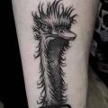 Arm Ostrich tattoo by 9th Circle