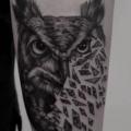Arm Owl tattoo by 9th Circle