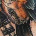 tatuaje Brazo Realista Pájaro por Three Kings Tattoo
