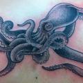 Rücken Dotwork Oktopus tattoo von Three Kings Tattoo