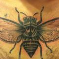 Brust Fliege Dotwork tattoo von Three Kings Tattoo