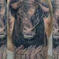 Shoulder Realistic Bull tattoo by JPJ tattoos