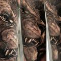Arm Realistische Löwen tattoo von Faith Tattoo Studio