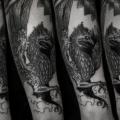 Arm Fantasy Dotwork Phoenix tattoo by Ien Levin