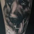 tatuagem Braço Realísticas Cachorro por Art Force Tattoo