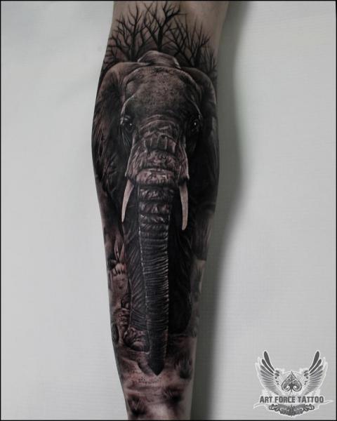 Tatuaggio Braccio Realistici Elefante di Art Force Tattoo