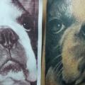 Realistische Hund tattoo von Chunkymaymay Tattoo