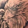 Arm Realistische Adler tattoo von Tattoo Nero