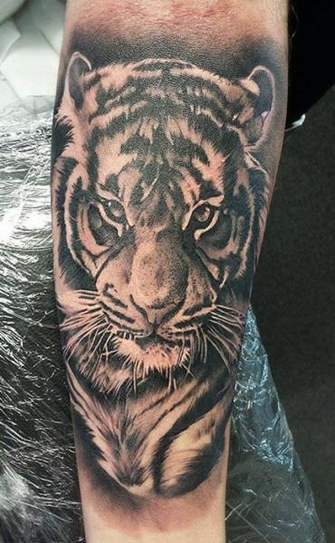 Tatuaggio Braccio Realistici Tigre di Tattoo Nero