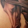 Schulter Realistische Pferd tattoo von Next Level Tattoo