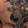 tatuaje Realista Espalda Pájaro por Tattoo Frequency