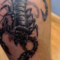 tatuaggio Braccio Realistici Scorpione di Yusuf Artik Tattoo Studio
