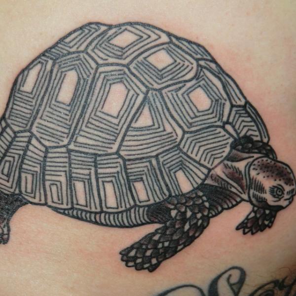 Schildkröte Tattoo von Into You Tattoo