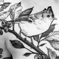 tatuagem Ombro Braço Peito Pássaro por Black Star Studio