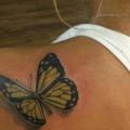Schulter Realistische Schmetterling tattoo von Hyperink Studios