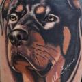 Arm Realistische Hund tattoo von Ali Ersari