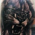 Shoulder Realistic Lion tattoo by Peter Tattooer