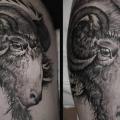 Goat Thigh tattoo by Rock n Roll