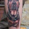 Realistic Leg Dog tattoo by Endorfine Studio