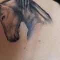 Shoulder Realistic Horse tattoo by Endorfine Studio