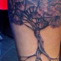 tatuaje Brazo Árbol por Dejavu Tattoo Studio