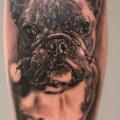 Arm Realistische Hund tattoo von Da Silva Tattoo