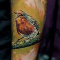 Arm Realistische Vogel tattoo von Led Coult