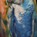 Arm Realistische Papagei tattoo von Led Coult