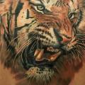Realistic Back Tiger tattoo by Led Coult
