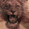 Realistische Brust Löwen tattoo von Led Coult