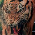 Realistic Side Tiger tattoo by Led Coult