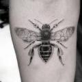 tatuaje Brazo Realista Insecto por Dr Woo
