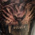 tatuaje Brazo Realista Tigre por Tattooed Theory