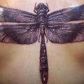 Realistische Rücken Libelle tattoo von Jeremiah Barba
