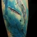 tatuaje Brazo Realista Tiburón por Jak Connolly